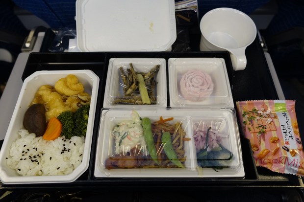 Day01JPAirlineLunch