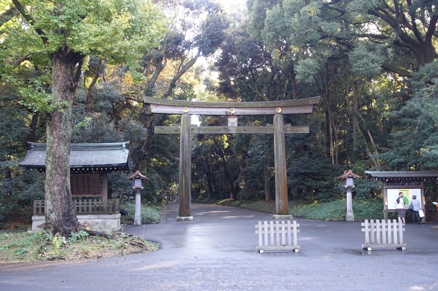 Day02JPMeijiShrine1