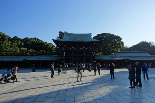 Day02JPMeijiShrine10