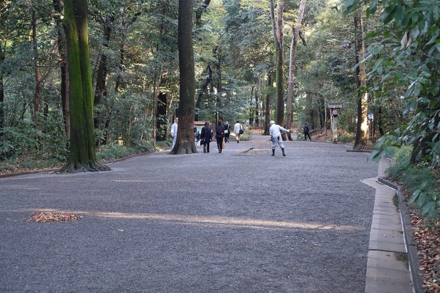 Day02JPMeijiShrine3