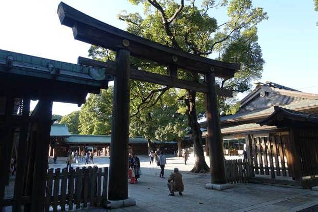 Day02JPMeijiShrine5