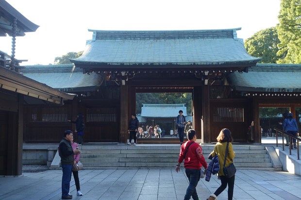 Day02JPMeijiShrine6