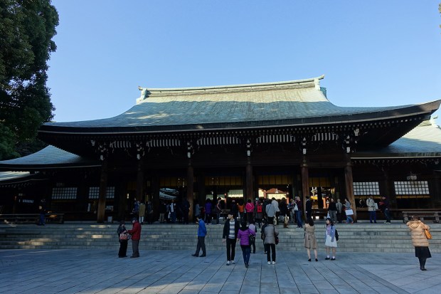 Day02JPMeijiShrine9