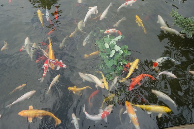 Day04LukangLongshanTemple6