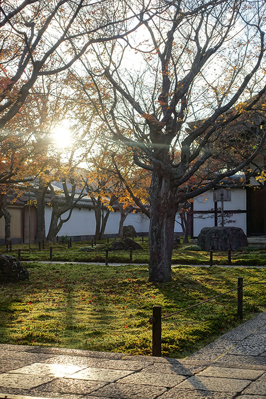 Day07JPDaitoku-ji2