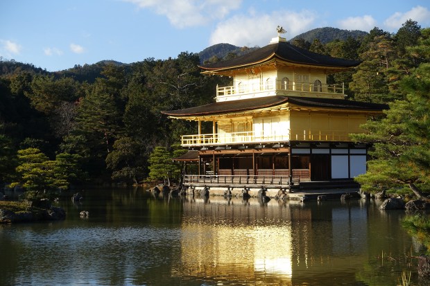 Day07JPKinkaku-ji2