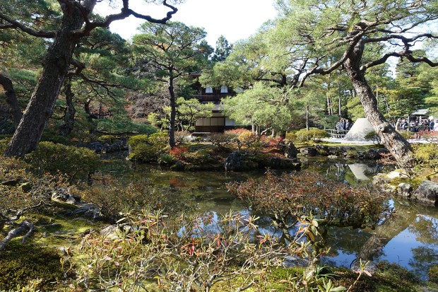 Day08JPGinkakuji11
