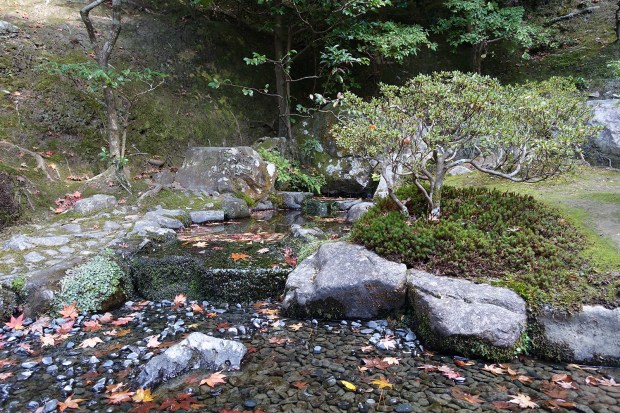 Day08JPGinkakuji13
