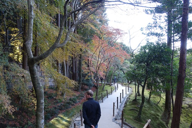 Day08JPGinkakuji15