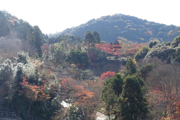 Day08JPKiyomizudera09