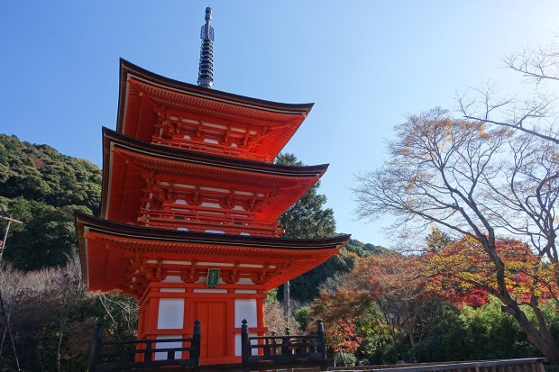 Day08JPKiyomizudera14