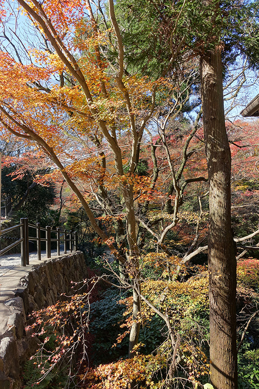 Day08JPKiyomizudera16