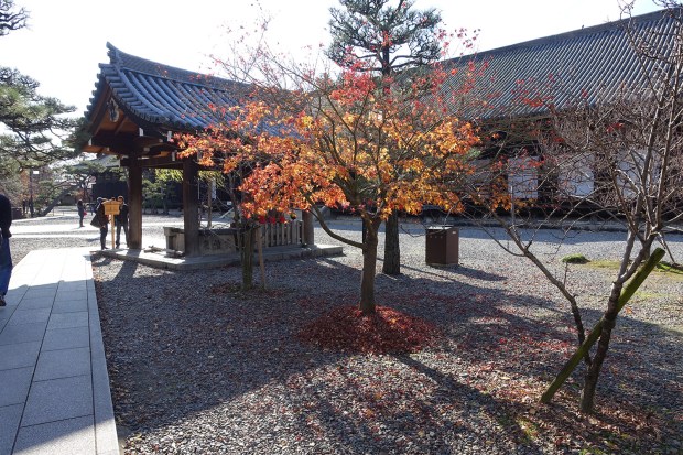 Day08JPSanjusangendo04