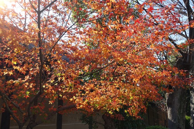 Day08JPSanjusangendo06